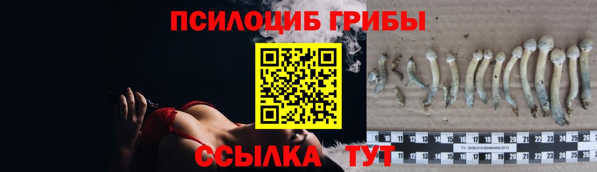 Галлюциногенные грибы Cubensis  Псилоцибиновые грибы мицелий  Вход с VPN  Ялуторовск 